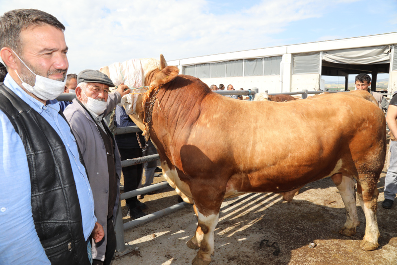 Son dakika: Bilim Kurulu Üyesi Levent Yamanel’den hisseli kurban uyarısı! Büyükbaş kurban alacaklar dikkat...