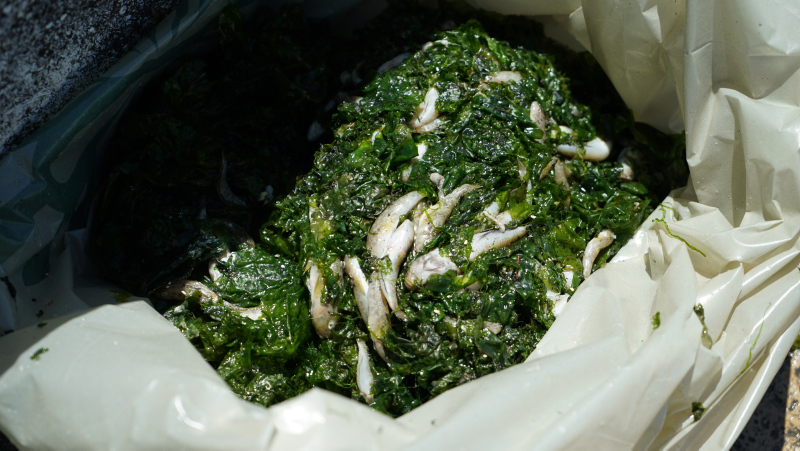 İstanbul’da skandal görüntüler; Denize atık su bırakıldı! Küçükçekmece’de milyonlarca balık öldü!