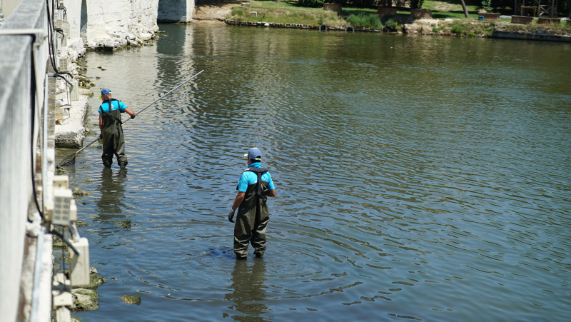 İstanbul’da skandal görüntüler; Denize atık su bırakıldı! Küçükçekmece’de milyonlarca balık öldü!