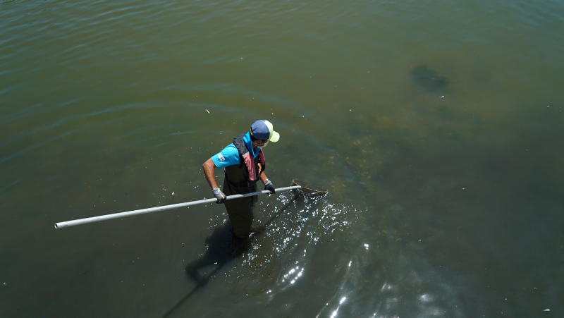 İstanbul’da skandal görüntüler; Denize atık su bırakıldı! Küçükçekmece’de milyonlarca balık öldü!