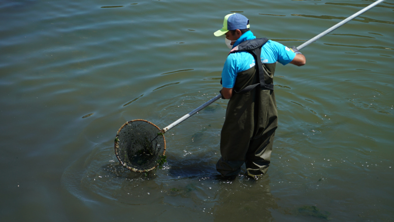 İstanbul’da skandal görüntüler; Denize atık su bırakıldı! Küçükçekmece’de milyonlarca balık öldü!