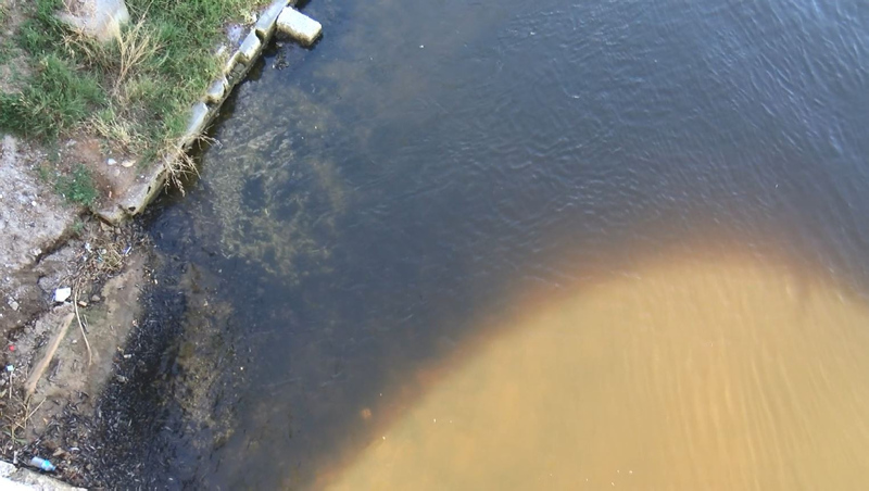 İstanbul’da skandal görüntüler; Denize atık su bırakıldı! Küçükçekmece’de milyonlarca balık öldü!