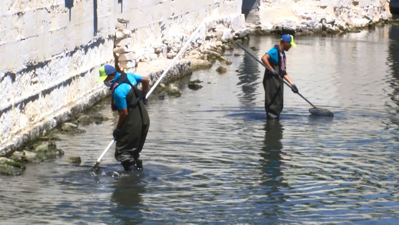İstanbul’da skandal görüntüler; Denize atık su bırakıldı! Küçükçekmece’de milyonlarca balık öldü!