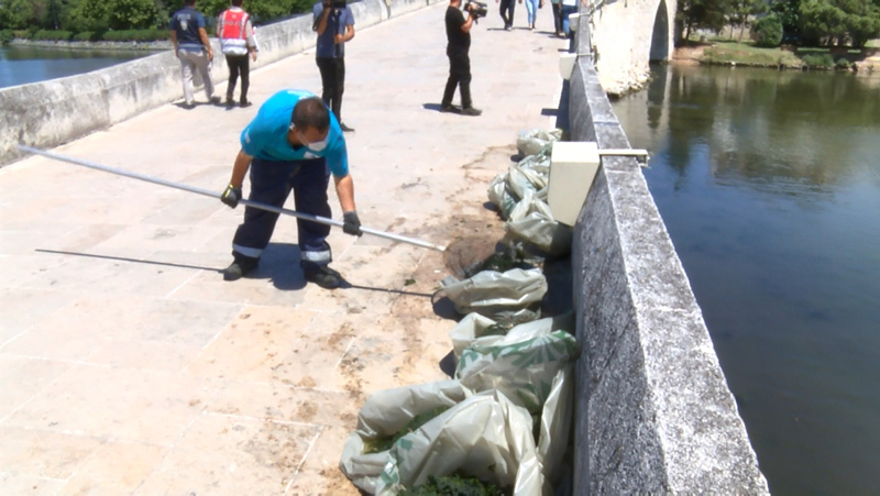 İstanbul’da skandal görüntüler; Denize atık su bırakıldı! Küçükçekmece’de milyonlarca balık öldü!