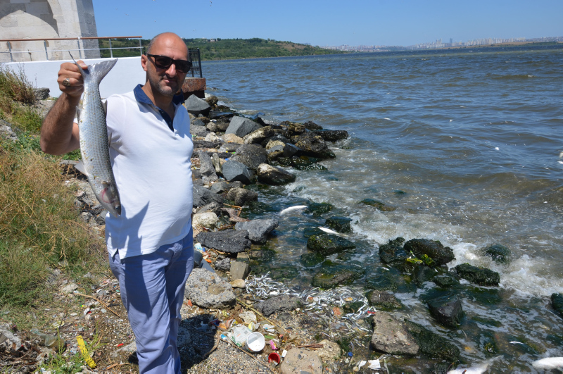 İstanbul’da skandal görüntüler; Denize atık su bırakıldı! Küçükçekmece’de milyonlarca balık öldü!