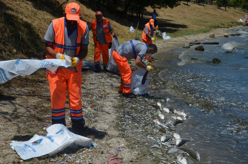 İstanbul’da skandal görüntüler; Denize atık su bırakıldı! Küçükçekmece’de milyonlarca balık öldü!