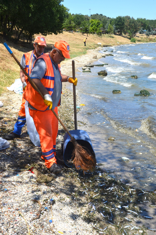 İstanbul’da skandal görüntüler; Denize atık su bırakıldı! Küçükçekmece’de milyonlarca balık öldü!