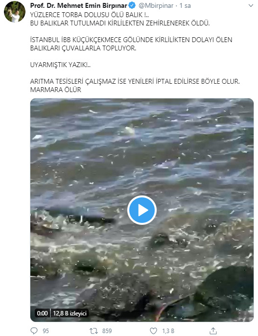 İstanbul’da skandal görüntüler; Denize atık su bırakıldı! Küçükçekmece’de milyonlarca balık öldü!