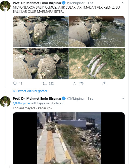 İstanbul’da skandal görüntüler; Denize atık su bırakıldı! Küçükçekmece’de milyonlarca balık öldü!