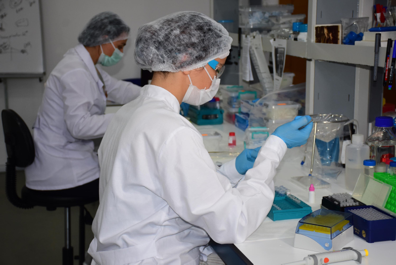 Son dakika: Bilim Kurulu Üyesi Seçil Özkan’dan çok çarpıcı antikor açıklaması! Dikkat çeken rakam...