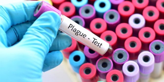 Bubonik veba nedir? Bubonik Hıyarcıklı veba nasıl bulaşır? İşte detaylar...