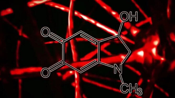 Son Dakika Haberi: Wayfair skandalının ardından Adrenochrome yeniden gündem oldu! Adrenochrome nedir, nasıl kullanılır?