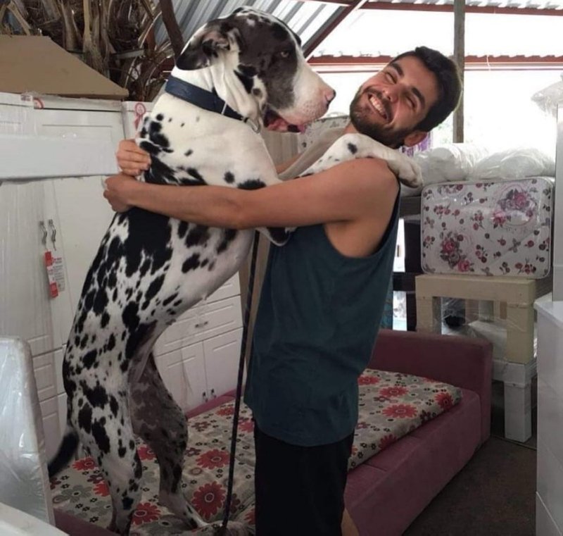 Son Dakika Haberi: Öldürülen Survivor kameramanı Alper Baycın neden öldü? Alper Baycın’ın annesinden yürekleri dağlayan sözler