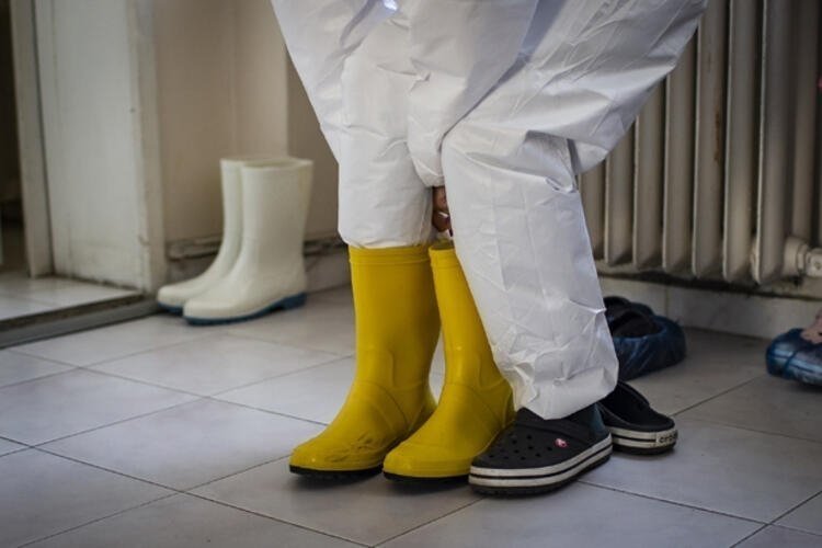 SON DAKİKA: Türkiye’deki güncel corona virüsü vaka ve ölüm sayısı açıklandı! 17 Temmuz Türkiye corona virüsü vaka, ölü ve iyileşen hasta sayısı kaç oldu?