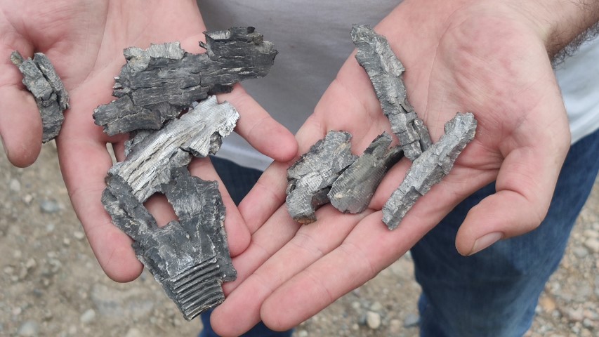 Ermenistan’ın saldırılarının altında yatan neden ne? Alçak saldırılarda Türkiye detayı...