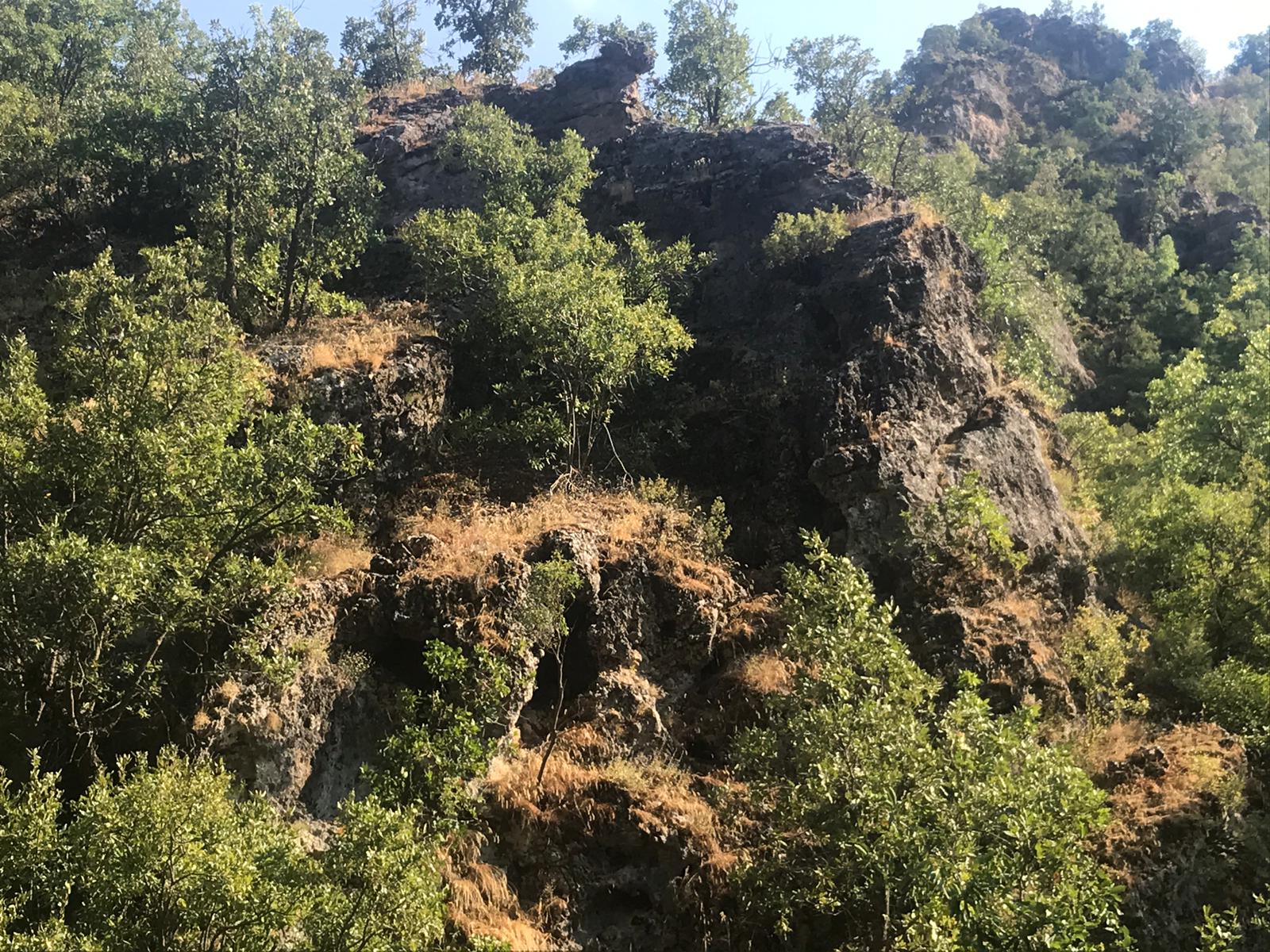 Son dakika: İçişleri Bakanlığınca Hakkari’de yıldırım-2 cilo operasyonu başlatıldı