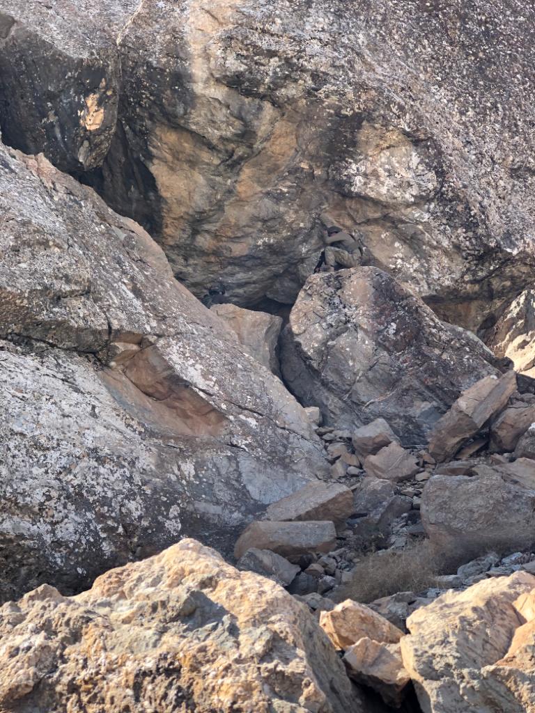 Son dakika: İçişleri Bakanlığınca Hakkari’de yıldırım-2 cilo operasyonu başlatıldı