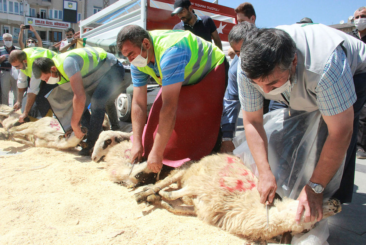 Lokmalar döküldü, kurbanlar kesildi! Türkiye’nin dört bir yanında Ayasofya Camii coşkusu
