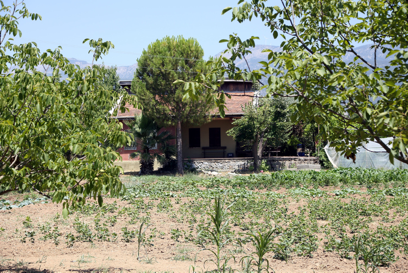SON DAKİKA! Pınar Gültekin’i katleden Cemal Metin Avcı’nın ifadesinde dikkat çeken detay! O soruya yanıt veremedi...