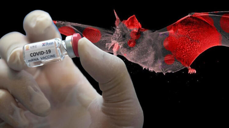 DSÖ’den flaş koronavirüs aşısı açıklaması: İki yıldan kısa bir sürede bitirmeyi umuyoruz