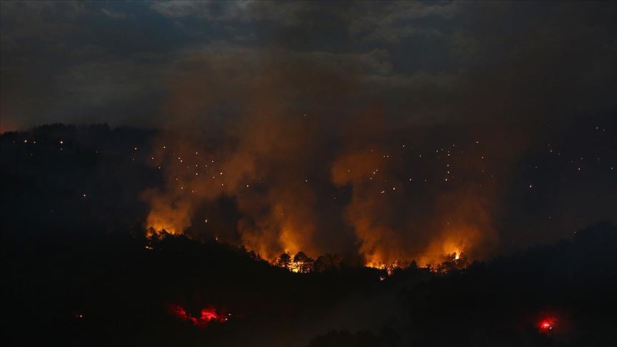 Son dakika! Bakan Pakdemirli’den Nallıhan’daki yangınla ilgili açıklamalar!