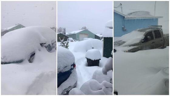 Son dakika | ABD’de ilginç doğa olayı! Dünya bunu konuşuyor: Sıcaklıklar 30 derece birden düştü