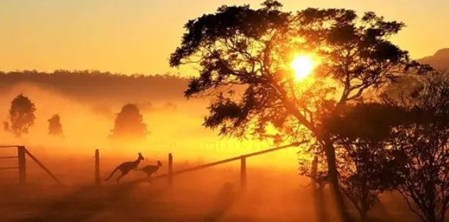 50 milyon yıldır görülmeyen sıcaklıklar geliyor! Mevcut durum sürerse...