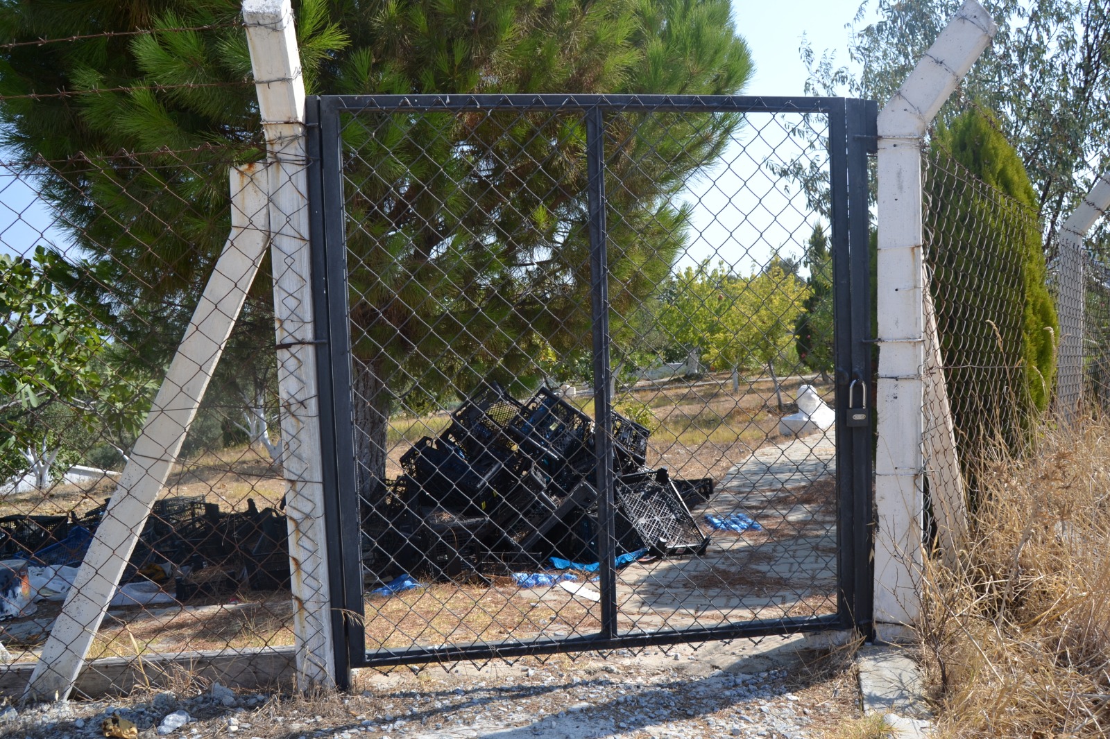 İşte o dehşet evi