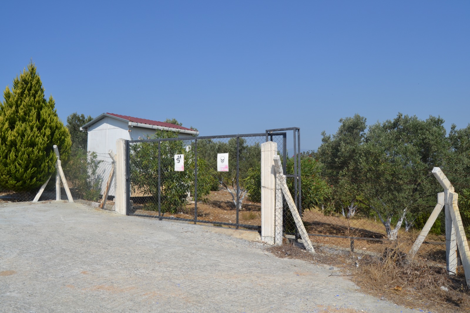 İşte o dehşet evi