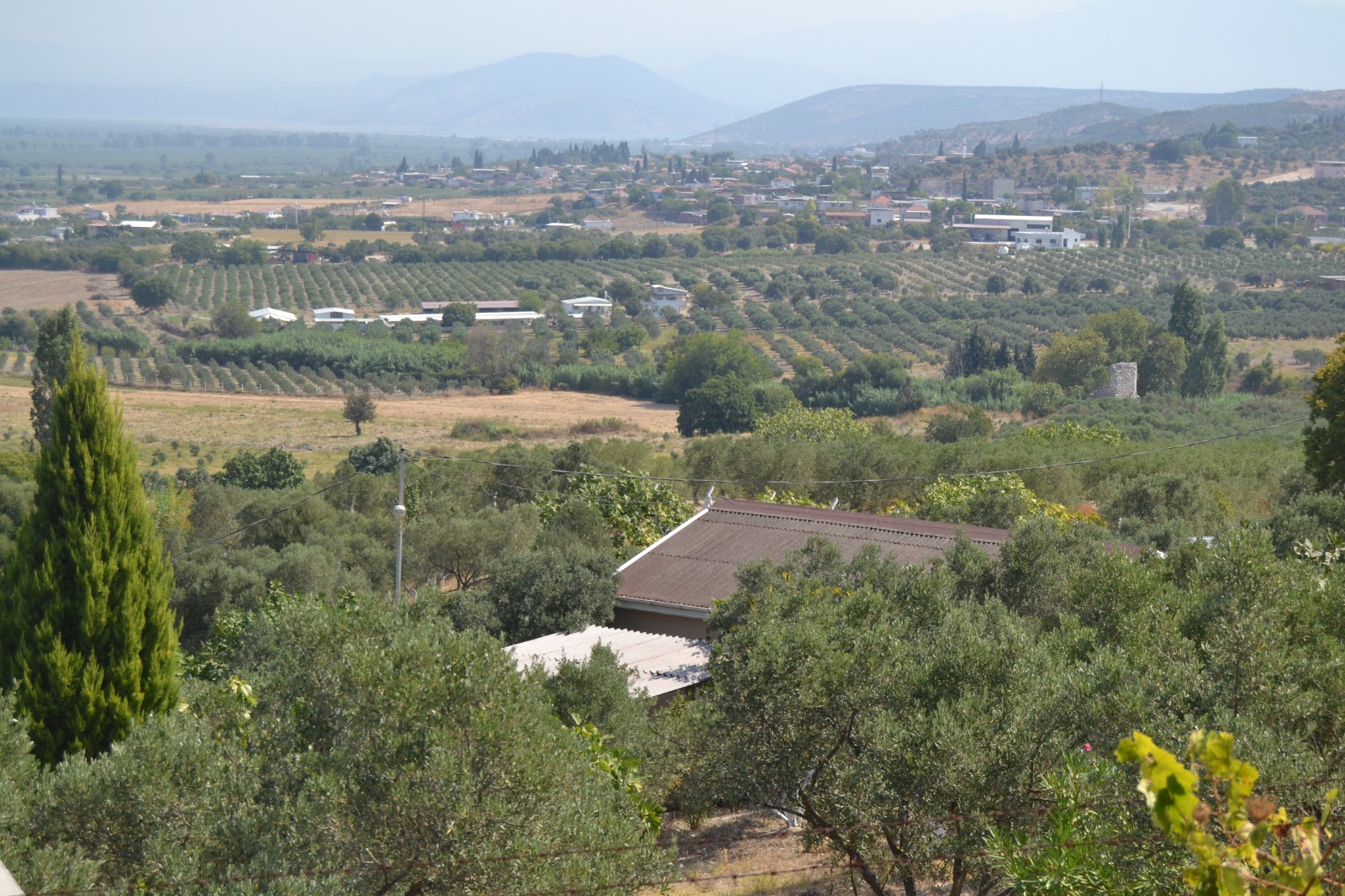 İşte o dehşet evi