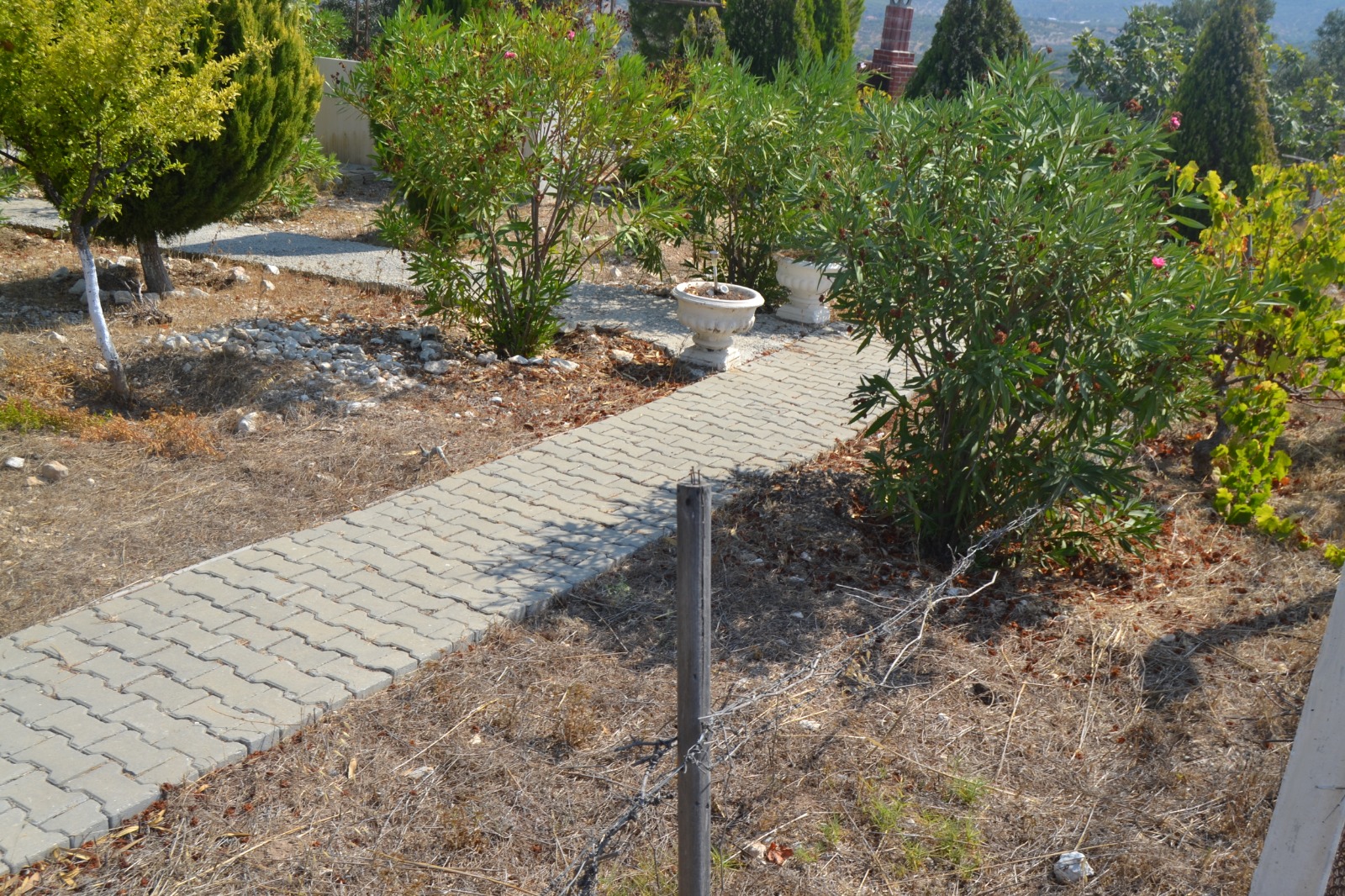 İşte o dehşet evi