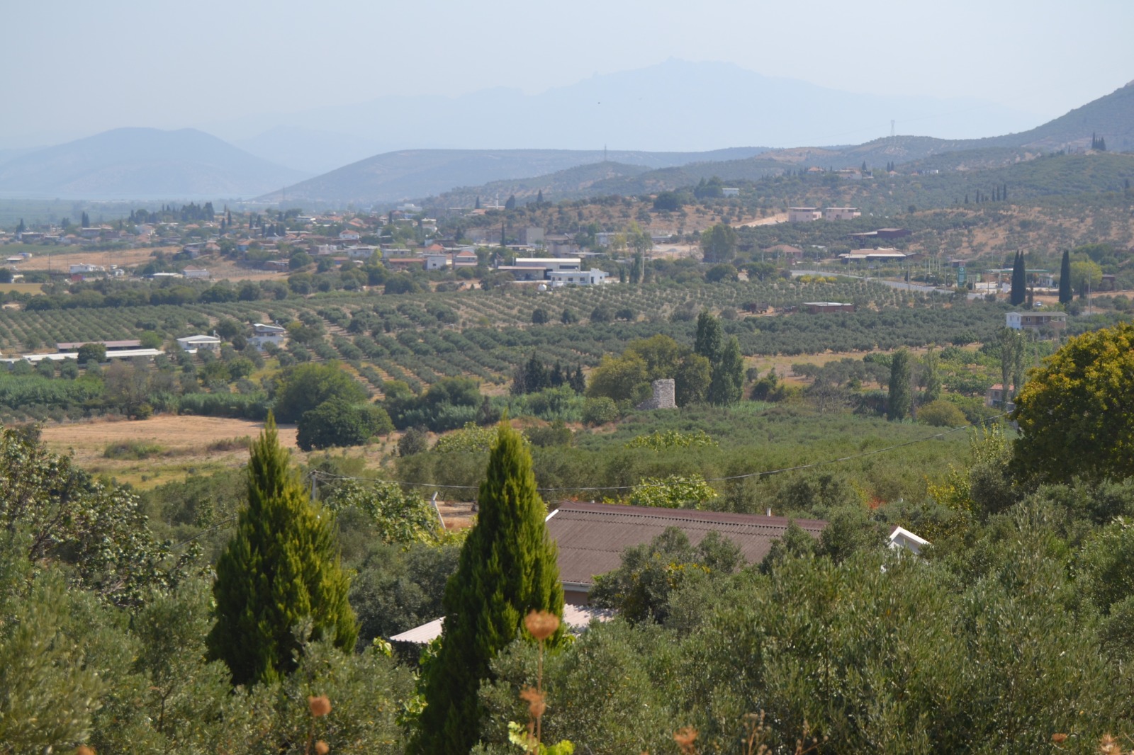 İşte o dehşet evi