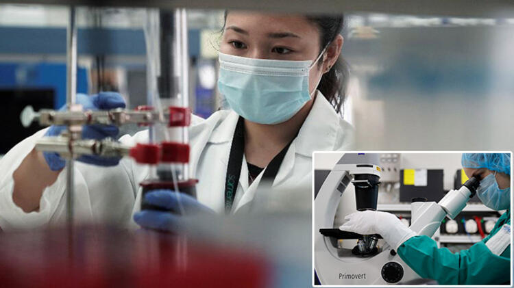 ABD’nin 22 eyaletinde koronavirüs vakalarında artış görüldü