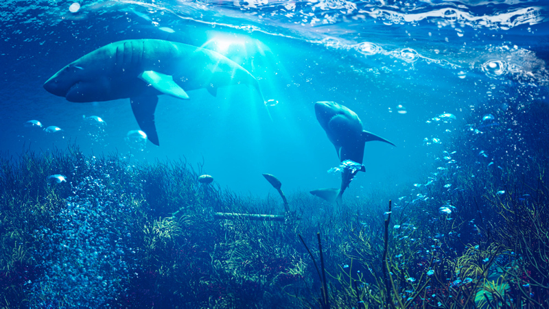 SON DAKİKA: Koronavirüs aşısı ile ilgili kan donduran açıklama geldi! Bir doz için 250 bin köpek balığı...