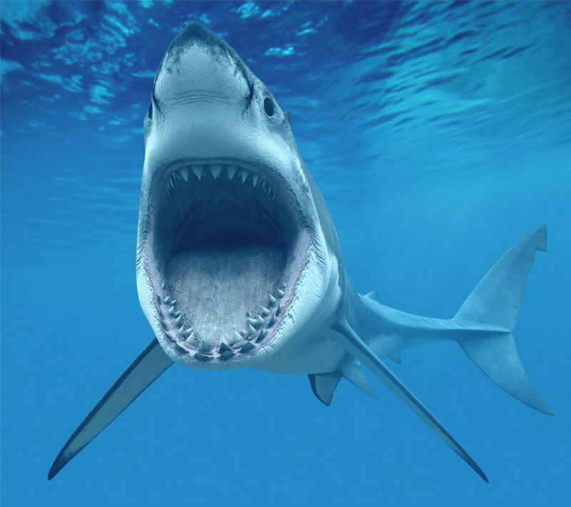 SON DAKİKA: Koronavirüs aşısı ile ilgili kan donduran açıklama geldi! Bir doz için 250 bin köpek balığı...