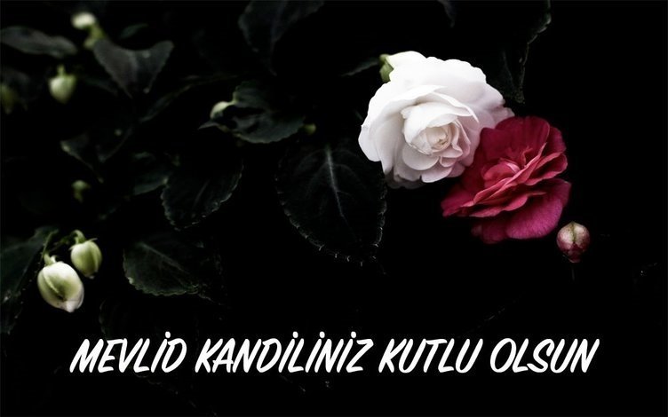 Resimli Mevlid Kandili mesajları ve sözleri! Kısa, Uzun Kandil mesajları ve 28 Ekim Mevlid Kandili kutlama mesajları