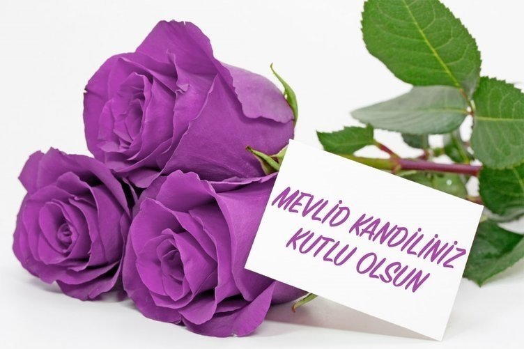 Resimli Mevlid Kandili mesajları ve sözleri! Kısa, Uzun Kandil mesajları ve 28 Ekim Mevlid Kandili kutlama mesajları
