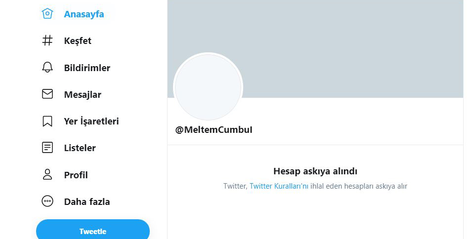 SON DAKİKA HABERİ... CHP’de ünlü istismarı ortaya çıktı! O hesapları bakın kim yönetiyor