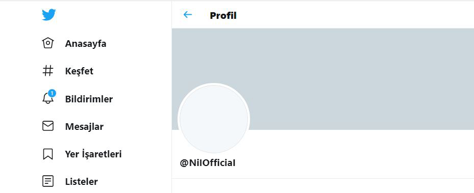 SON DAKİKA HABERİ... CHP’de ünlü istismarı ortaya çıktı! O hesapları bakın kim yönetiyor