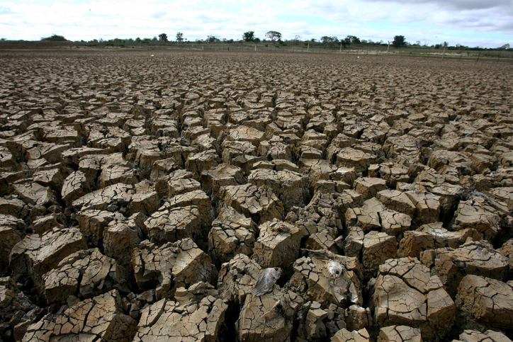 SON DAKİKA | Tüm dünyayı bekleyen tehlike... 2021 yılı için kıtlık uyarısı!