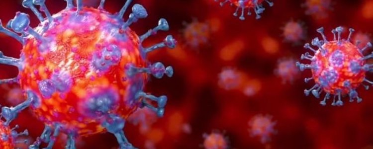 Uzman profesörden dikkat çeken açıklamalar: Koronavirüs ne zaman ortaya çıktı? Çin gerçekten virüsü yendi mi?