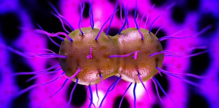 Son dakika haberi: Corona mutasyon haberleriyle dünya alarmda! Ölümcül yeni corona virüs mutasyonu için detaylar netleşiyor