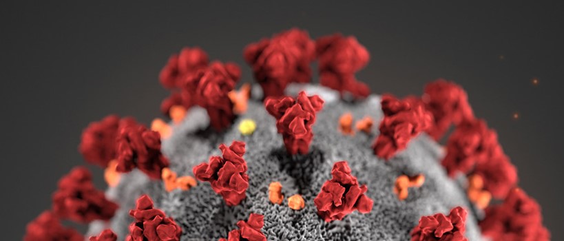 Son dakika haberi: Corona mutasyon haberleriyle dünya alarmda! Ölümcül yeni corona virüs mutasyonu için detaylar netleşiyor