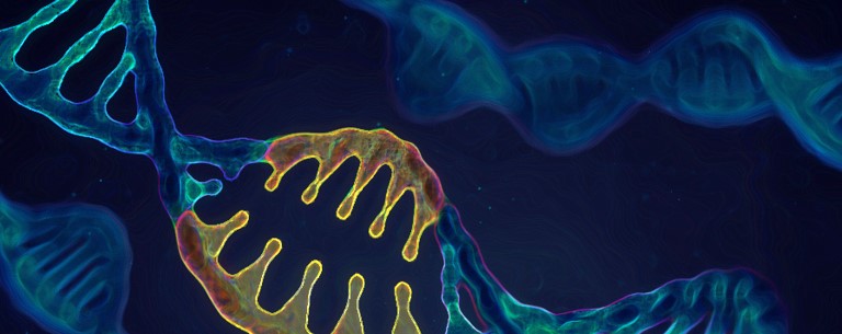 Son dakika haberi: Corona mutasyon haberleriyle dünya alarmda! Ölümcül yeni corona virüs mutasyonu için detaylar netleşiyor