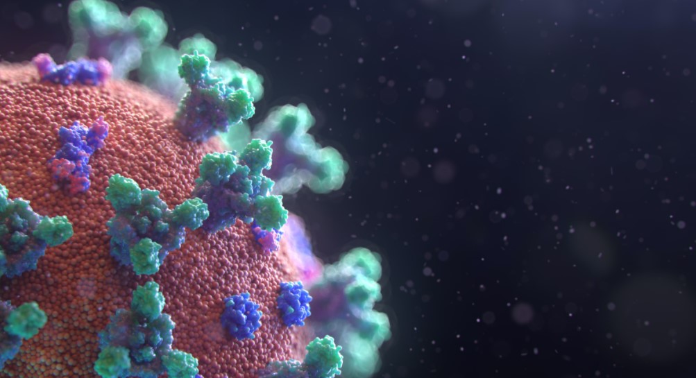 Son dakika haberi: Corona mutasyon haberleriyle dünya alarmda! Ölümcül yeni corona virüs mutasyonu için detaylar netleşiyor