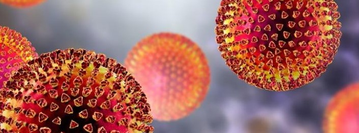 Son dakika haberi: Corona mutasyon haberleriyle dünya alarmda! Ölümcül yeni corona virüs mutasyonu için detaylar netleşiyor