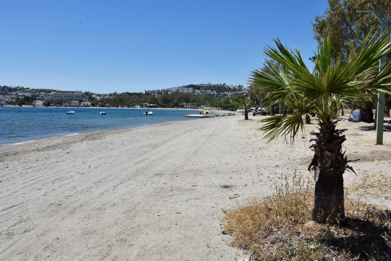 Son dakika | İşte normalleşme: Yeni kurallar, açılacak işletmeler ve okullar...