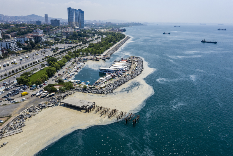 Müsilajda son dakika: Balıkçılıkta B planı Afrika!