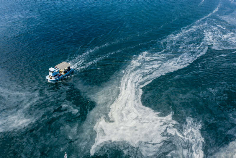 Müsilajda son dakika gelişmesi | Belediye yapmazsa ona da bakanlık el atacak