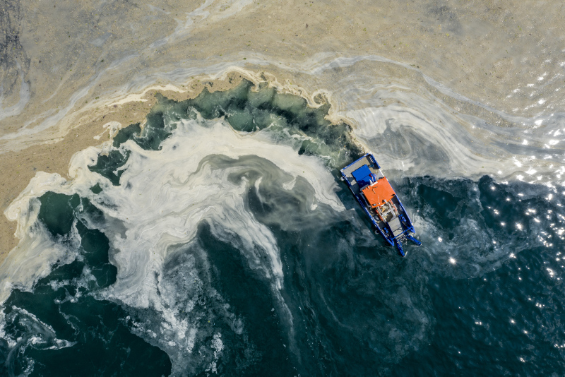 Müsilajda son dakika gelişmesi | Belediye yapmazsa ona da bakanlık el atacak